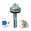 Self-tapping screw for attaching a metal profile to wooden structures (Roofing self-tapping screw)